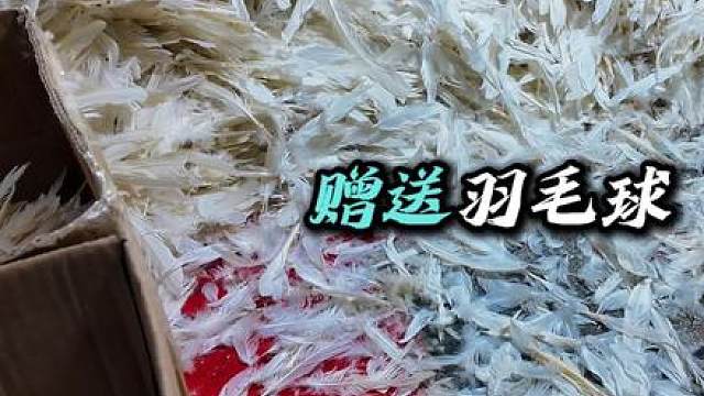 脱去昔日旧枷锁，今日方知我是我