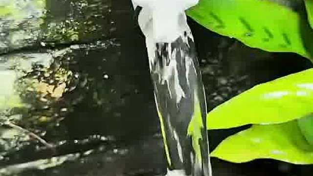 太厉害了，牙膏还可以改成水龙头