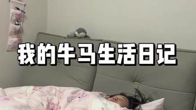 欢迎收看我的牛马生活