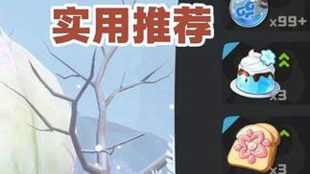 庇护所招待道具推荐