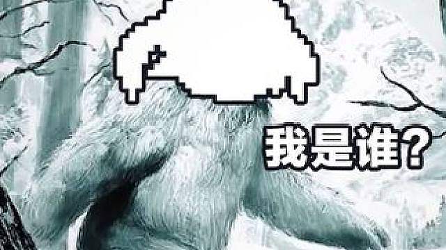 这是啥子雪怪？
