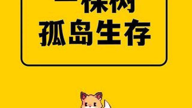我的世界：只有一棵树的孤岛生存种子，网易基岩版竟然还有高手！