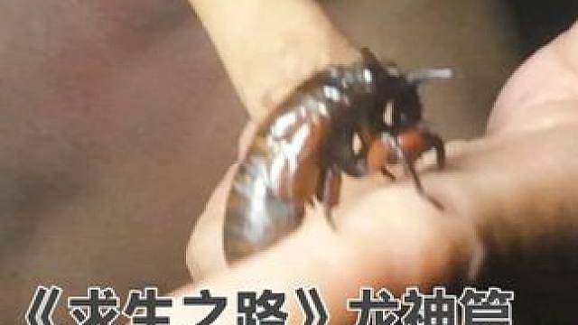 《求生之路》龙神篇 食来天地皆同力，半夜惊醒肉自来。 作者声明，剧情演
