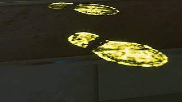 很近是多近