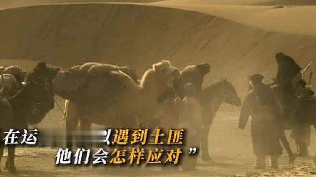 7.骆驼队沙漠送货，遭官府枪队追杀命悬一线