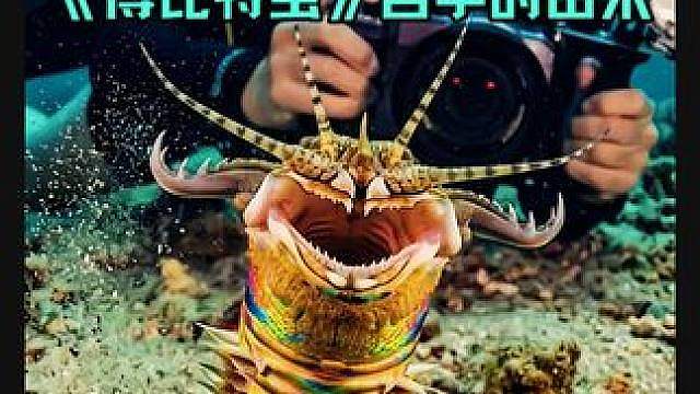 海洋冷知识，你知道海底“隐形杀手”博比特虫名字的由来吗？