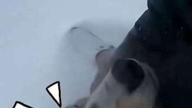 命运会反复出题 直到你给出新的答案
