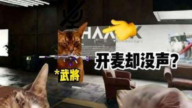 板板要求武将开麦，却发生了这样的事情...