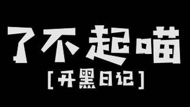 【开黑日记】 了不起的武斗酷猫！