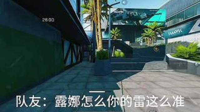 原来露娜玩家都是…
