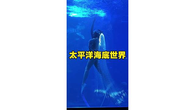 水下自带星光特效，速来打卡！