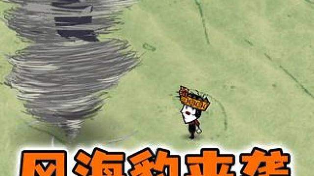 饥荒海难新手20天风季来临都要做什么？风海豹怎么打！