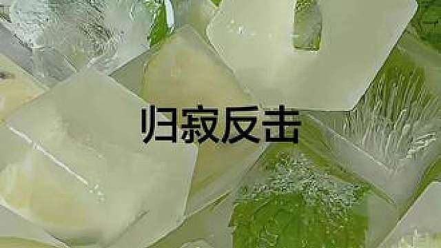 归寂反击
