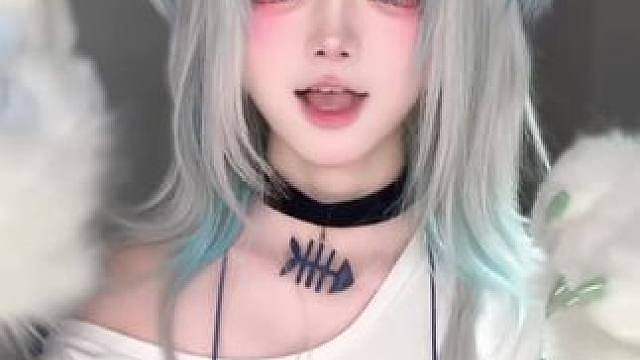 这是鲨猫