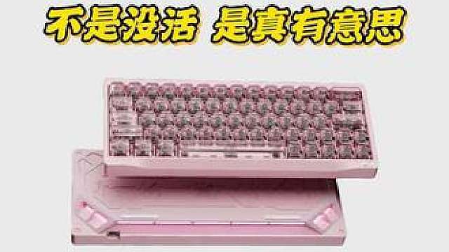 不是哥们?断触质保都来了?!和着你真有点东西,不是就换了套键帽啊!