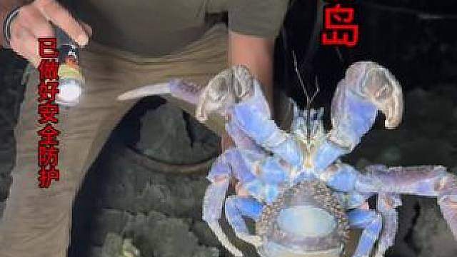 海岛生活
