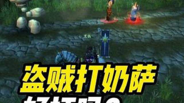 盗贼打奶萨好打吗？ 魔兽世界PVP解说