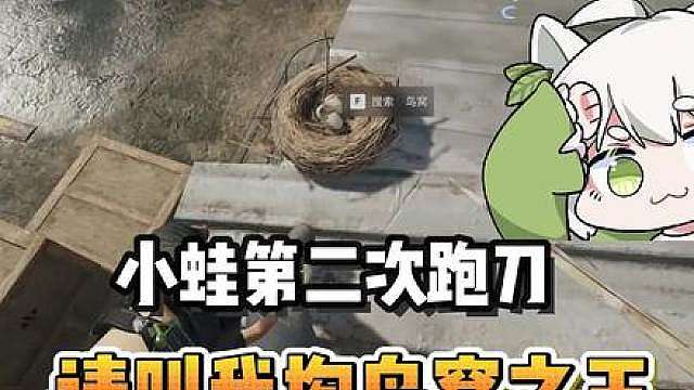 小蛙第二次跑刀！掏鸟窝之王来了