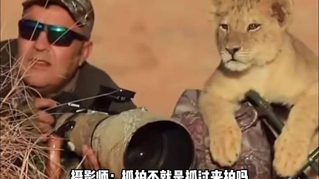 摄影师：抓拍不就是抓过来拍吗 #动物百科 #摄影师 #抓拍