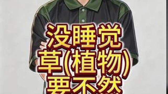 《没睡觉的草》-演唱：Life！ 一首魔兽争霸3有关的RAP。