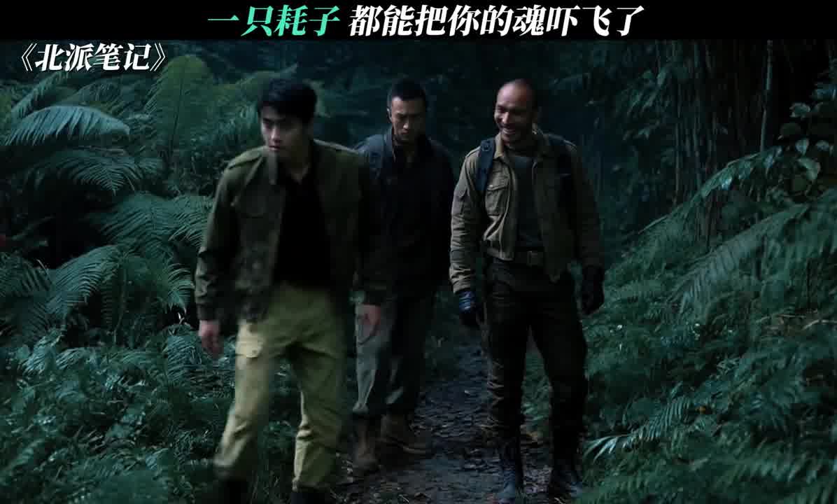 胆子太小了