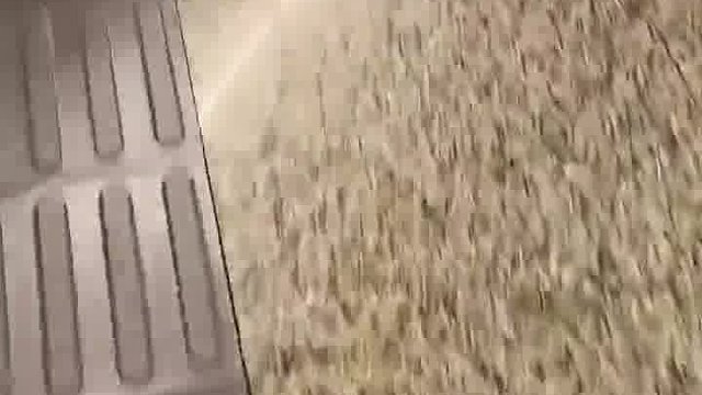 这女的超正点