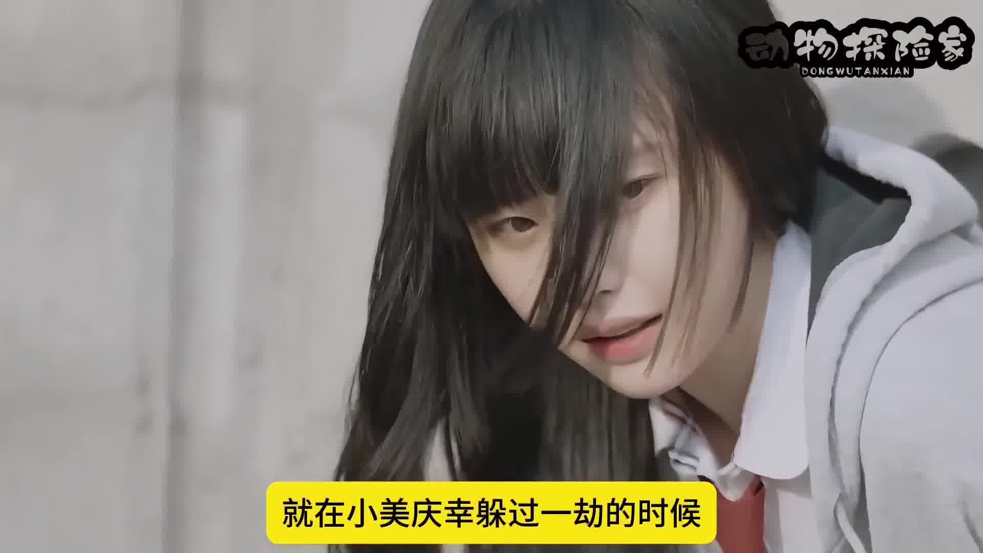 这剧情动漫里没有吗