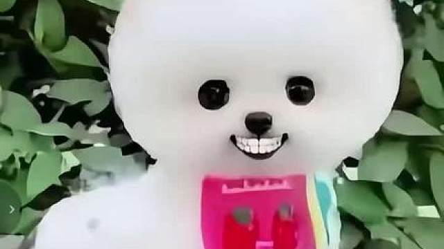 这个世上什么东西是永久的