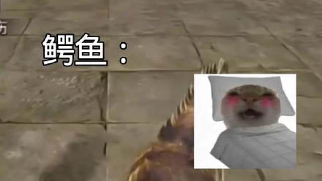 鳄鱼吃爽了