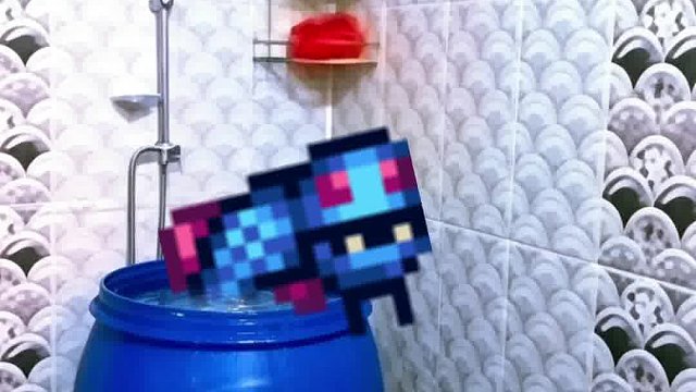 【星露谷物语】泡在同理的鱼王！