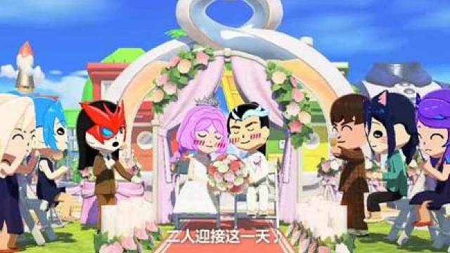 信芸特辑 这期只有信芸内容