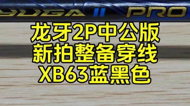 龙牙2pro中公版，新拍整备，穿线XB63薄荷黑。