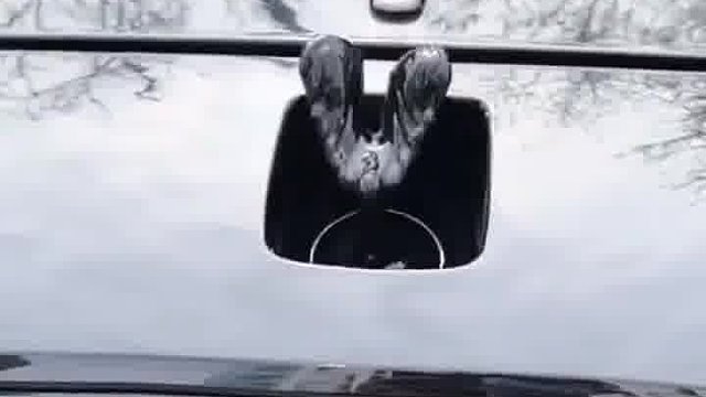 别人的车 VS 我的车