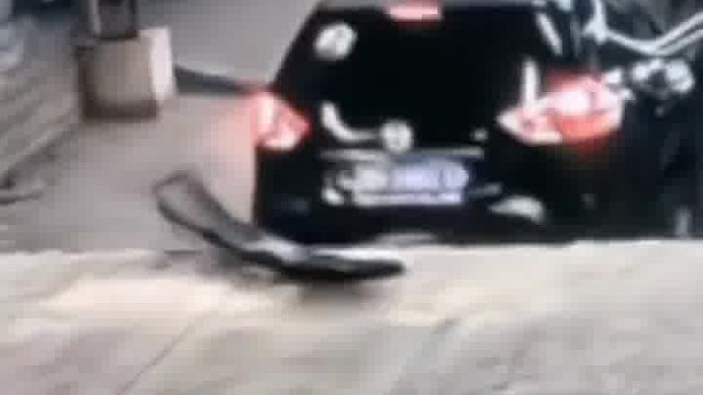 陷阱啊！谁干的？