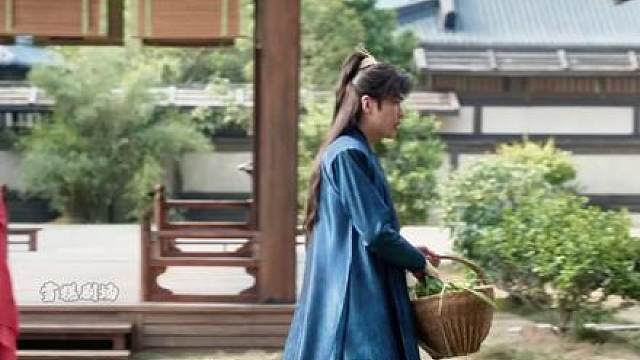 10.北齐大公主骡马不分，范闲给二皇子下毒
