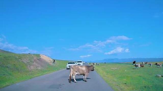 初到此地，遇牛栏道，本地大哥，出手相助……