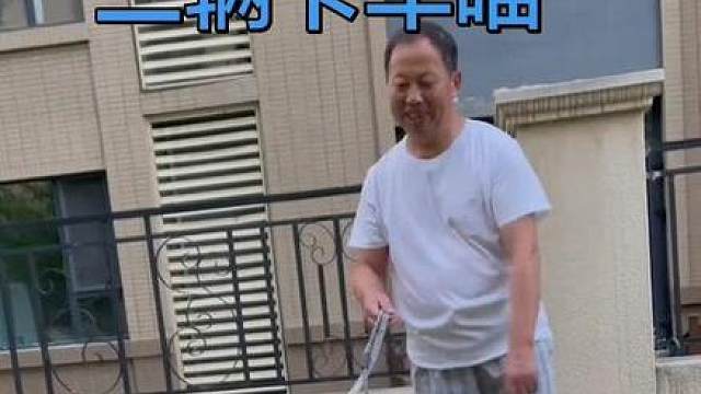 看看4年前的今天花卷和小包子遛猫日常，好想我的小包子