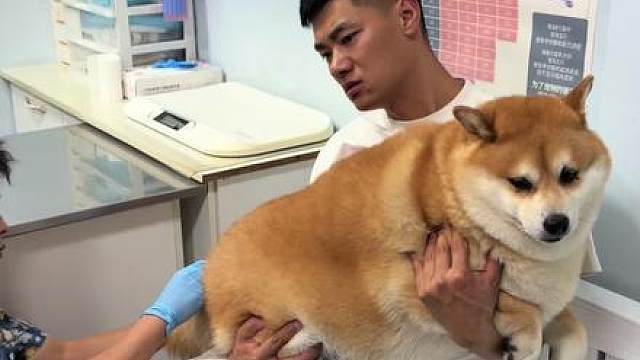 狗子：不好意思 我就提前疼一下子