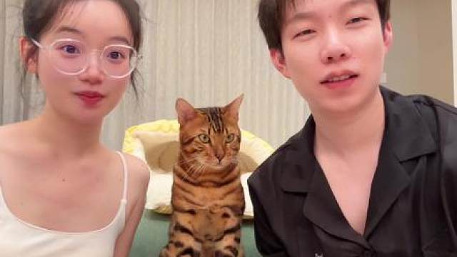 同时亲吻小猫 看他优先看向谁