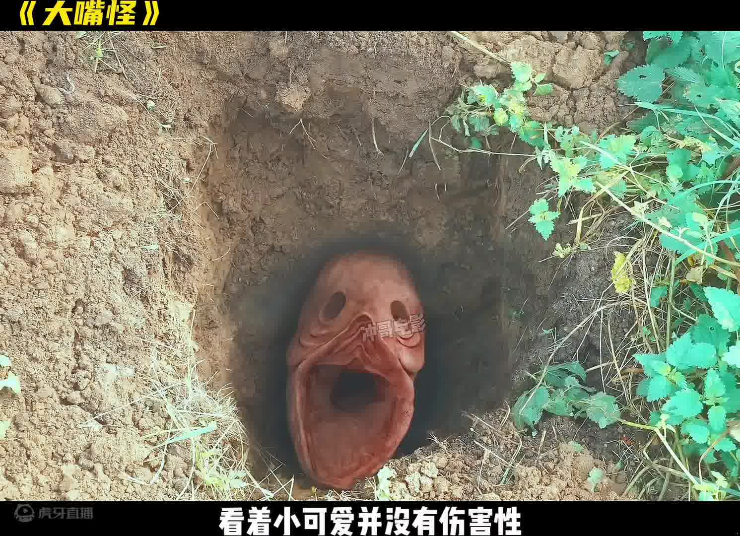 男人发现一只小可爱两人居然有了爱的结晶