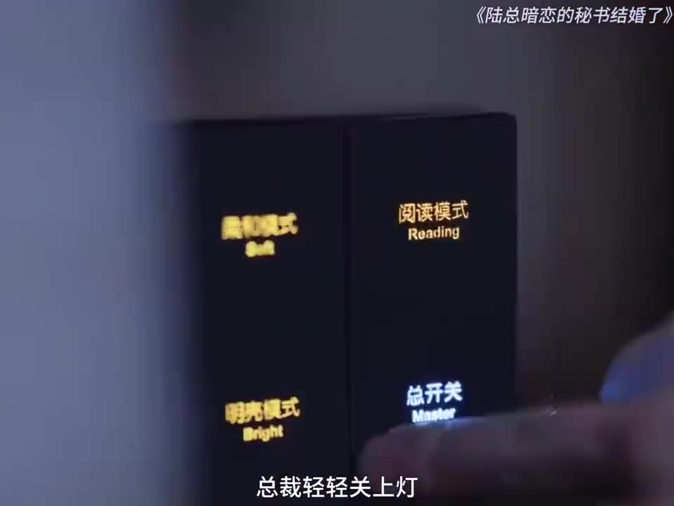 总裁时时刻刻都想亲吻女人