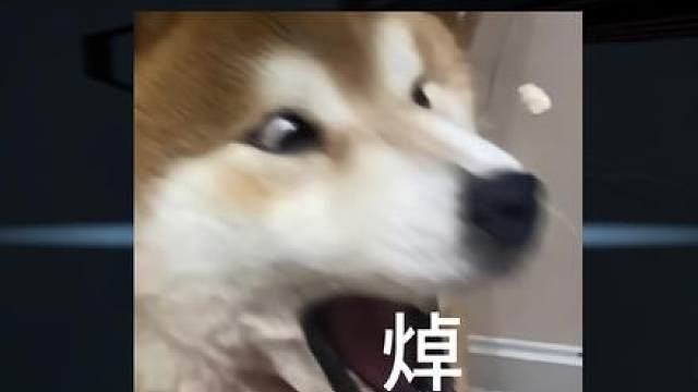 “ 痛 心 日 记 ”