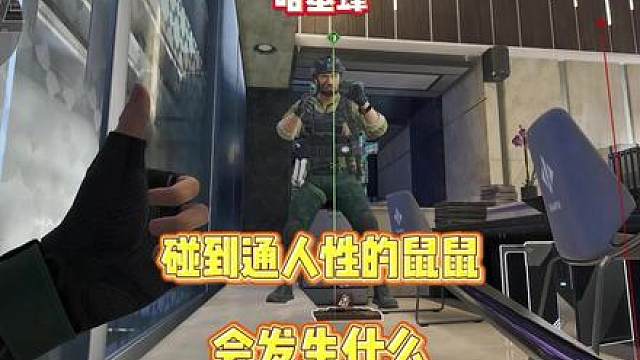 我们明明是敌人，更是并肩的战友