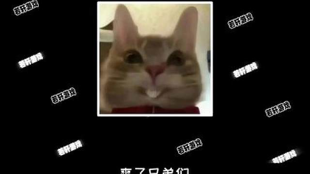 兄弟们，今晚一起见证新王的诞生！