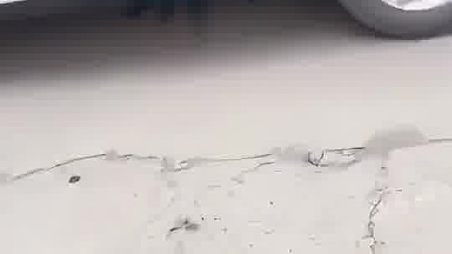 阿杜差点刮出来了