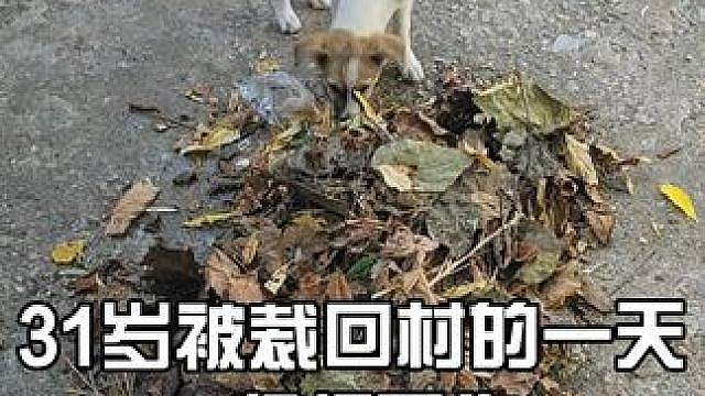 几天没扫，院子全是落叶。 扫完看着舒服多了。