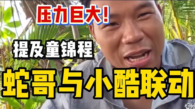 蛇哥与小酷联动后压力巨大，并提及上次余童锦程联动！
