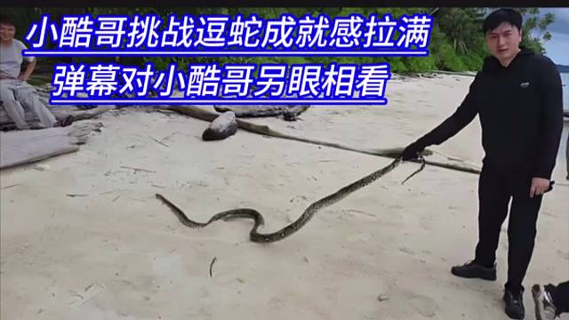 小酷哥挑战逗蛇成就感拉满，弹幕对小酷哥另眼相看。