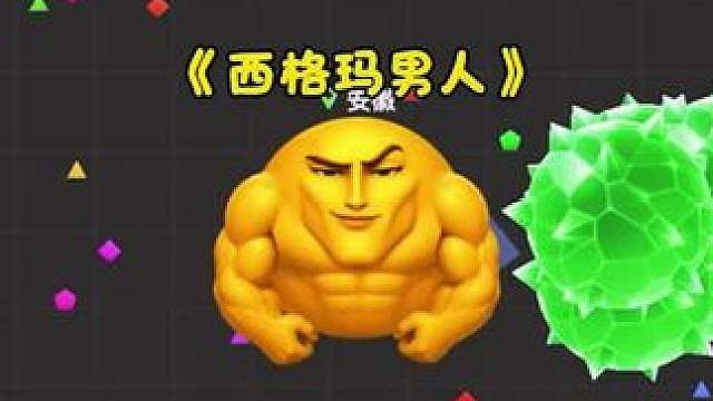“做西格玛男人，品百味人生”