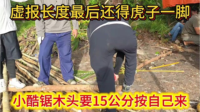 小酷锯木头要15公分按自己来，结果虚报长度，被虎子一脚搞定。